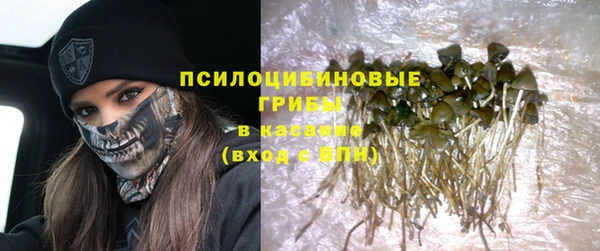 меф VHQ Дмитриев