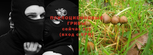 меф VHQ Дмитриев