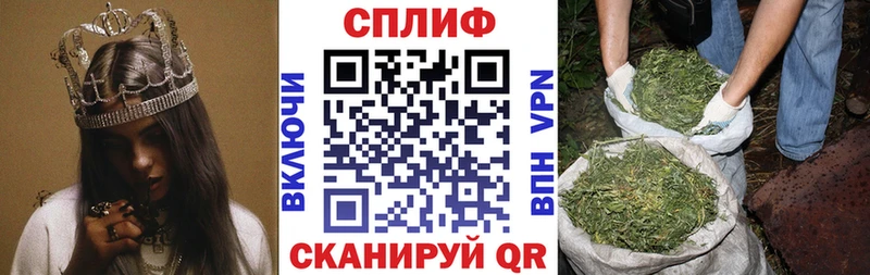 Канабис конопля  Майский 